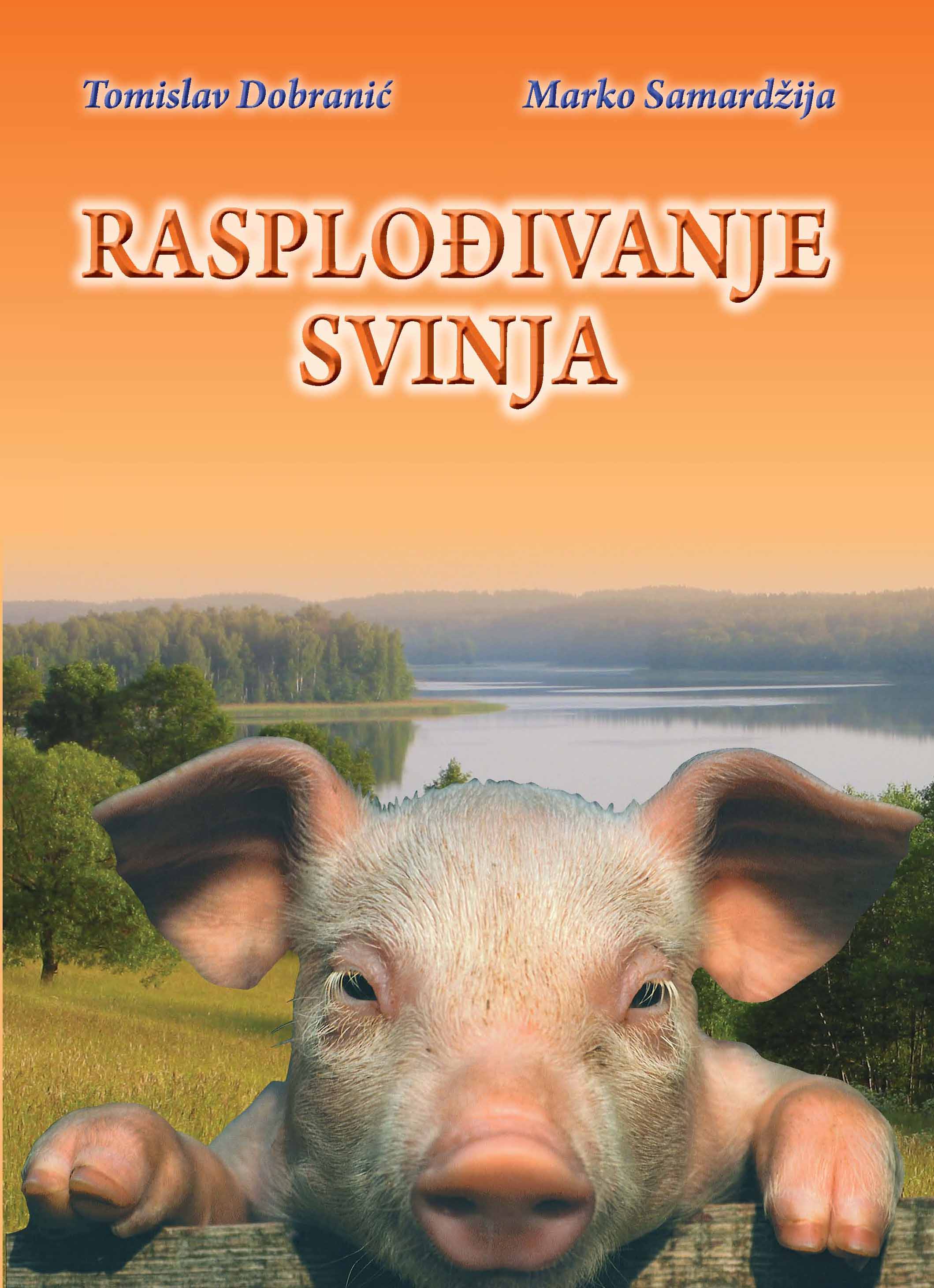 rasplodjivanje svinja