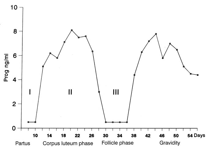 Fig 1.